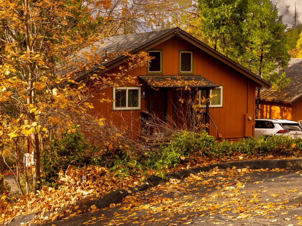 accommodation-at-the-pines-resort