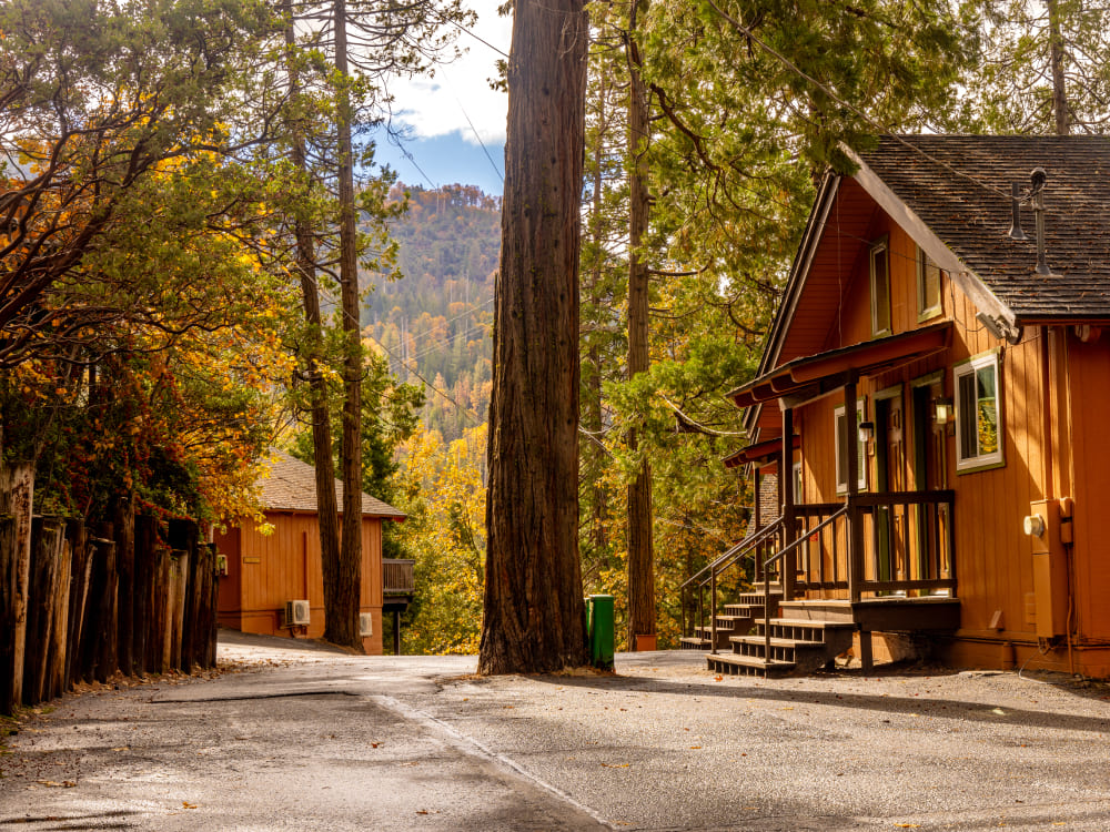 accommodation-view-from-outside-at-the-pines-resort