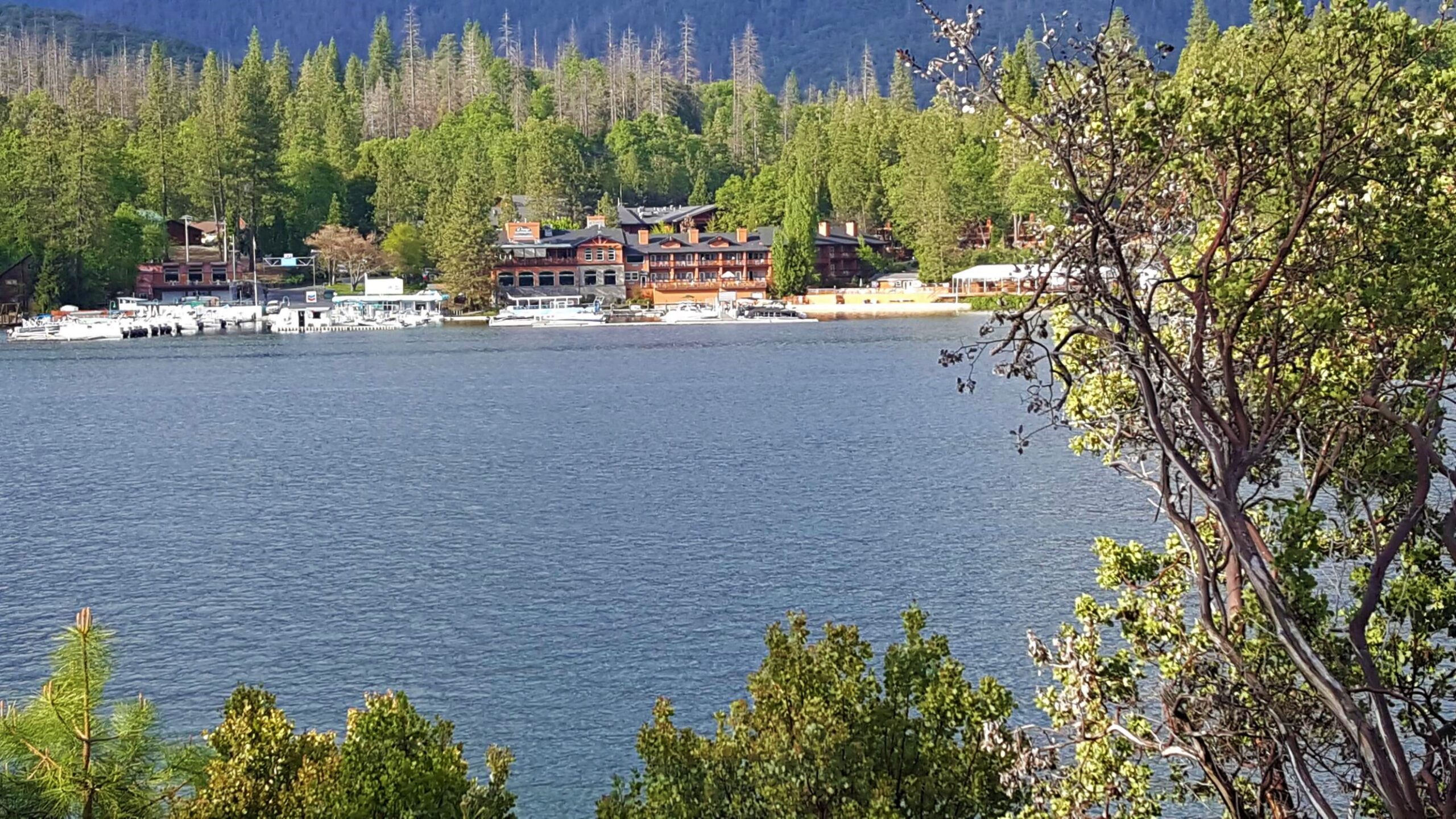 5 Outdoor Activities to enjoy at Bass Lake in the Spring