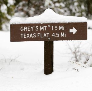 Ways to Enjoy the Snow in Bass Lake