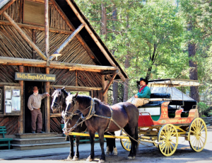 Exploring Hidden Treasures: Yosemite’s South Gate