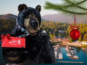 Holiday Gift Certificates 2024-25