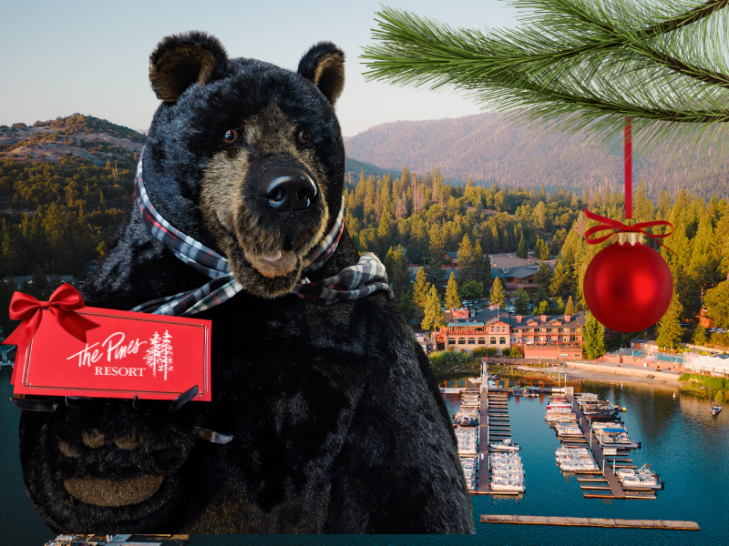 Holiday Gift Certificates 2024-25