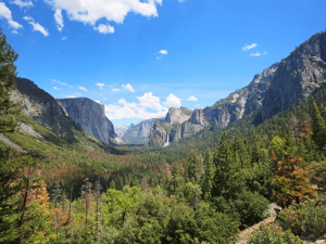 Discover Yosemite Like a Pro: Tips to Beat the Crowds