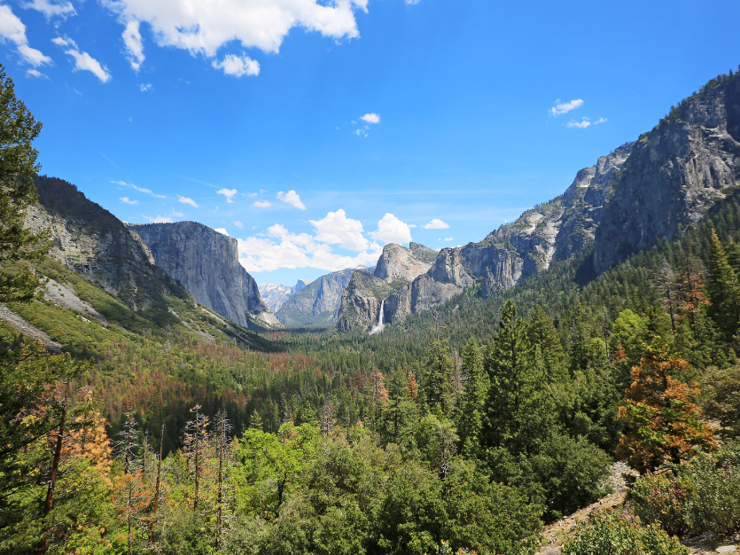 Discover Yosemite Like a Pro: Tips to Beat the Crowds