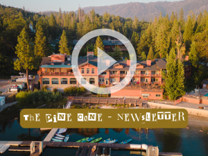 The Pine Cone – Newsletter (October 2023)