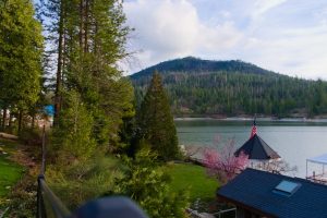 The Best Time to Visit Bass Lake