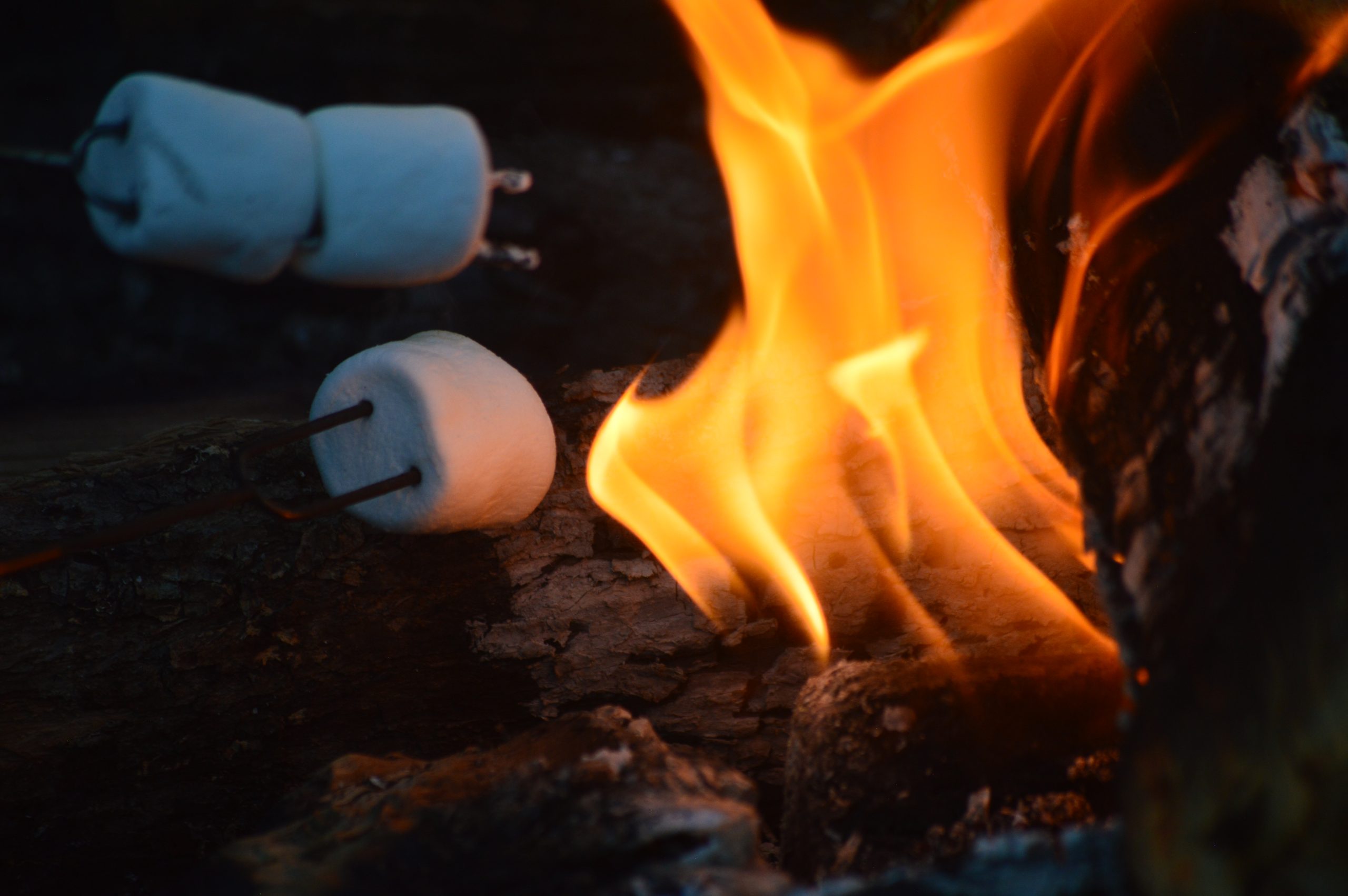 “Fall” in Love with Bass Lake