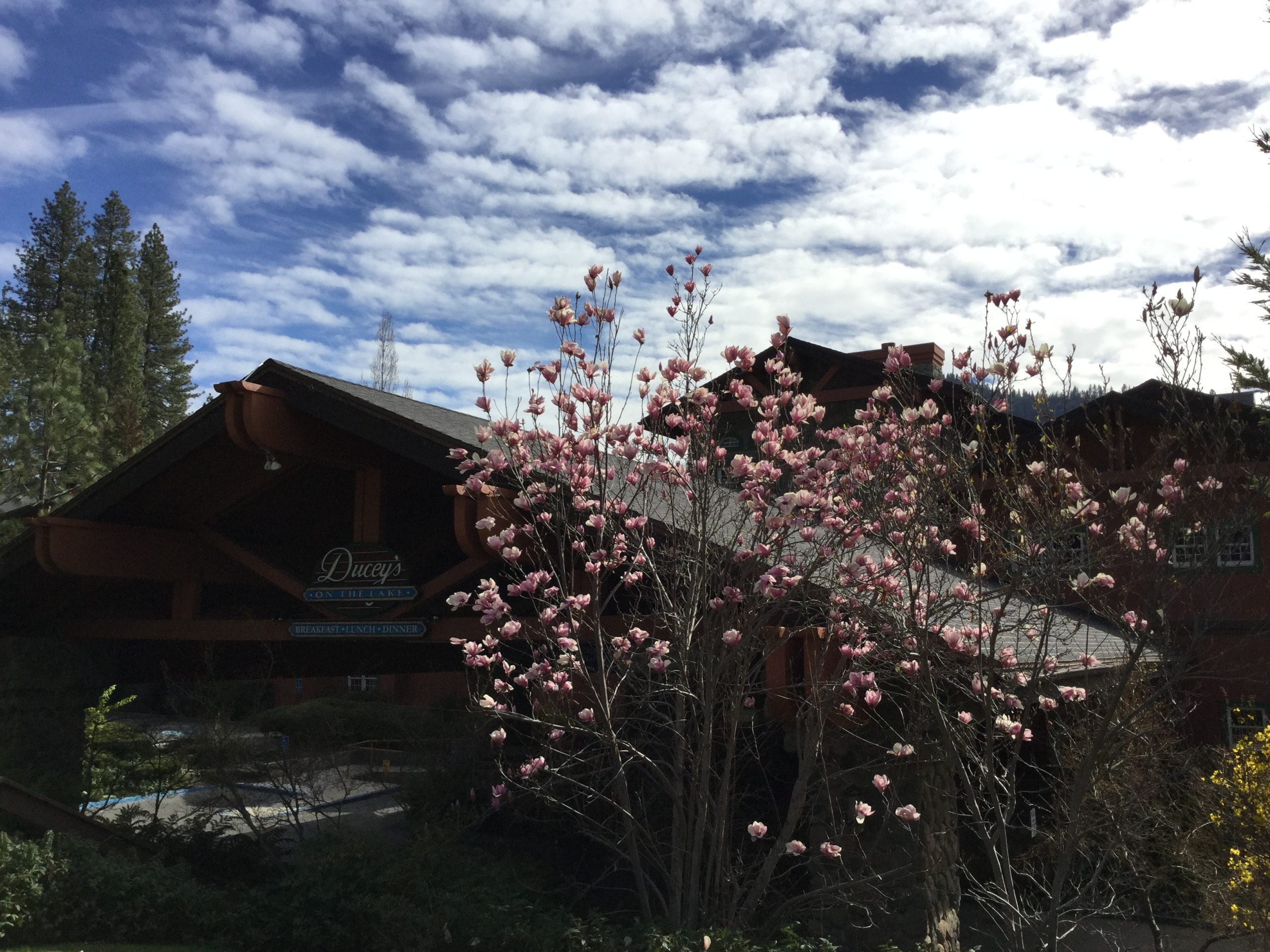 Easter Celebration at Bass Lake