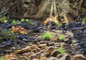 Why You Should Resolve to Vacation in Bass Lake This Year