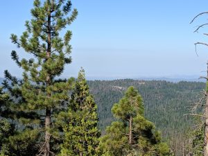 MUST SEE: Beasore Road