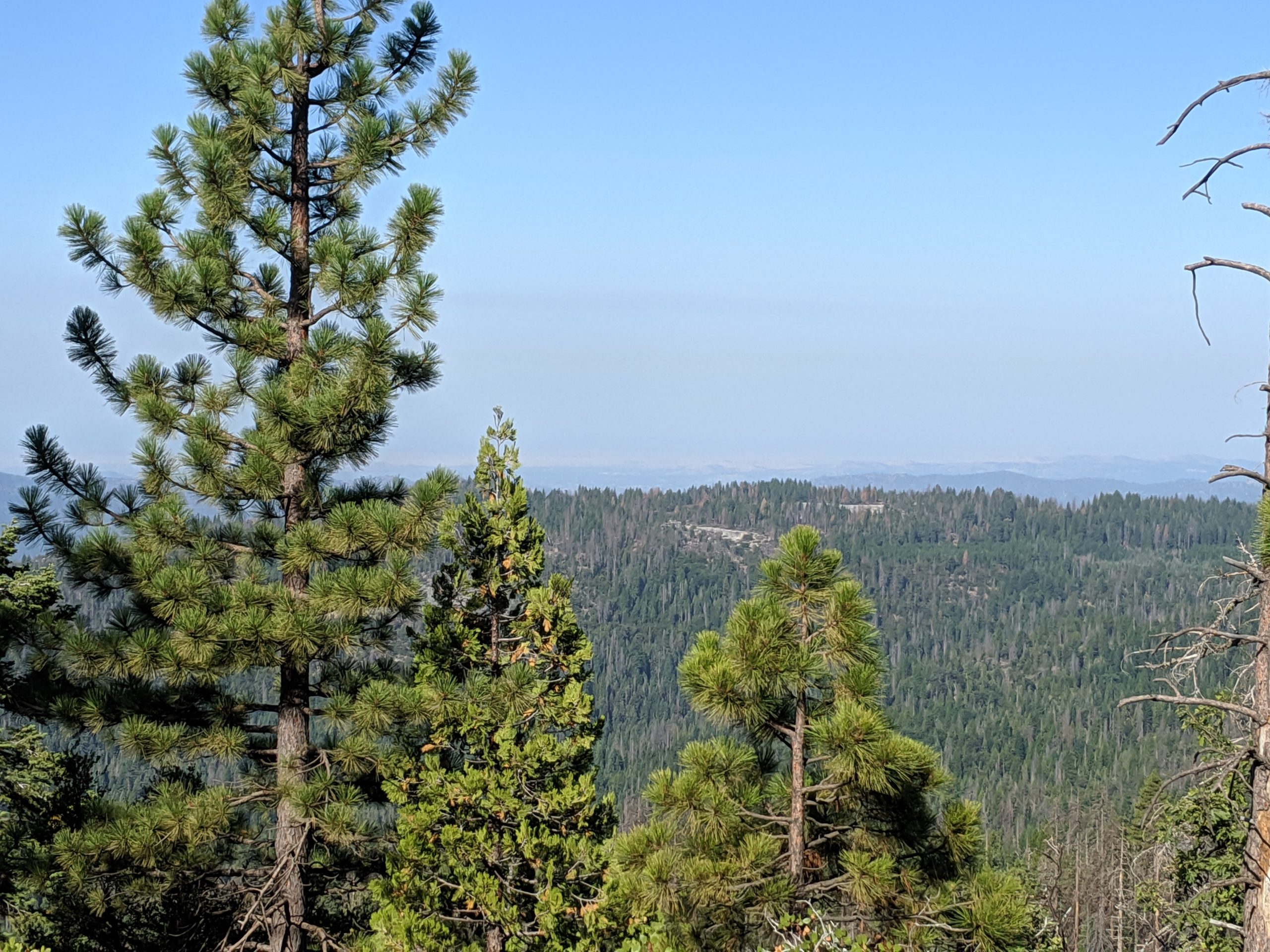 MUST SEE: Beasore Road