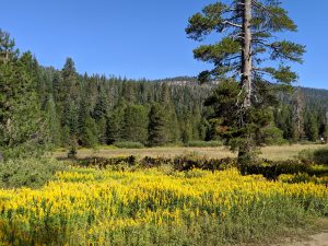 Sierra Vista Scenic Byway