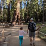 Father and daugther walk in the Park