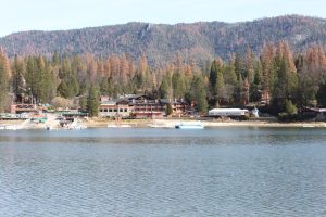 Fall has arrived at Bass Lake and Yosemite