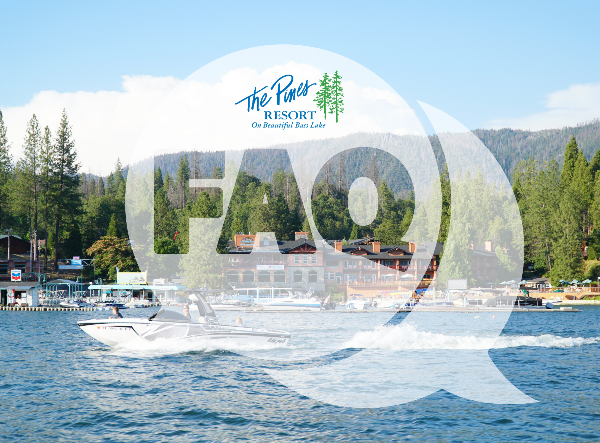 Booking The Pines Resort – FAQ