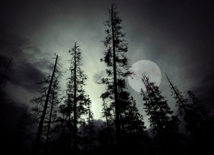 Urban Legends, Myths and Scary Stories from Yosemite & Bass Lake