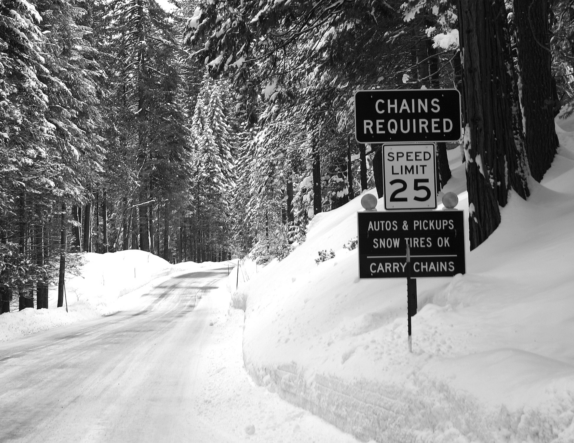 Snow Safety Tips to Enjoy Winter at Bass Lake