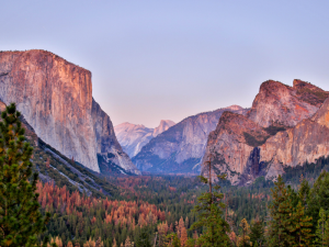 Why Fall is the Best Time to Visit Yosemite National Park