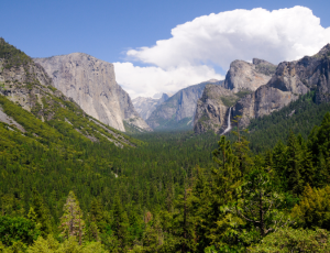 Yosemite Reservations 2024