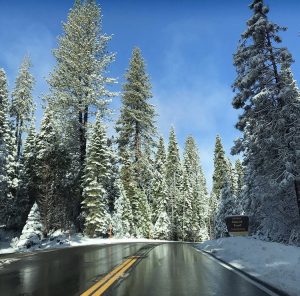 4 Things to Know About the People of Bass Lake