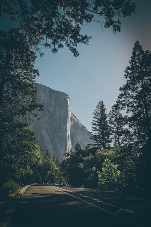 The Inspiring Journey of Alex Honnold and Yosemite’s El Capitan