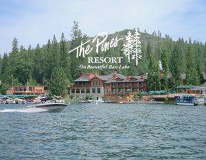 $100 Gift Card for $85! Gift Card Flash Sale.