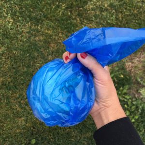 How to Keep Yosemite National Park Clean During the Government Shutdown